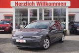 Volkswagen Golf VIII 2.0 TDI Life LED ACC Navi Spurhalte - Volkswagen Golf: Vii