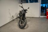 Honda CL 500 Scrambler *Neufahrzeug* - HONDA CL 500
