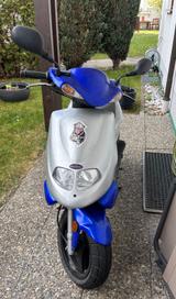 Pegasus Taiwan Golden Bee, Corona Sport Edition - ROLLER GO