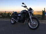 Triumph Legend 900 TT - Angebote