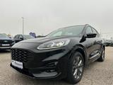 Ford Kuga 1.5 Eco ST-Line X *PANORAM/LED/ACC/AHK schw - Ford Kuga Jahreswagen