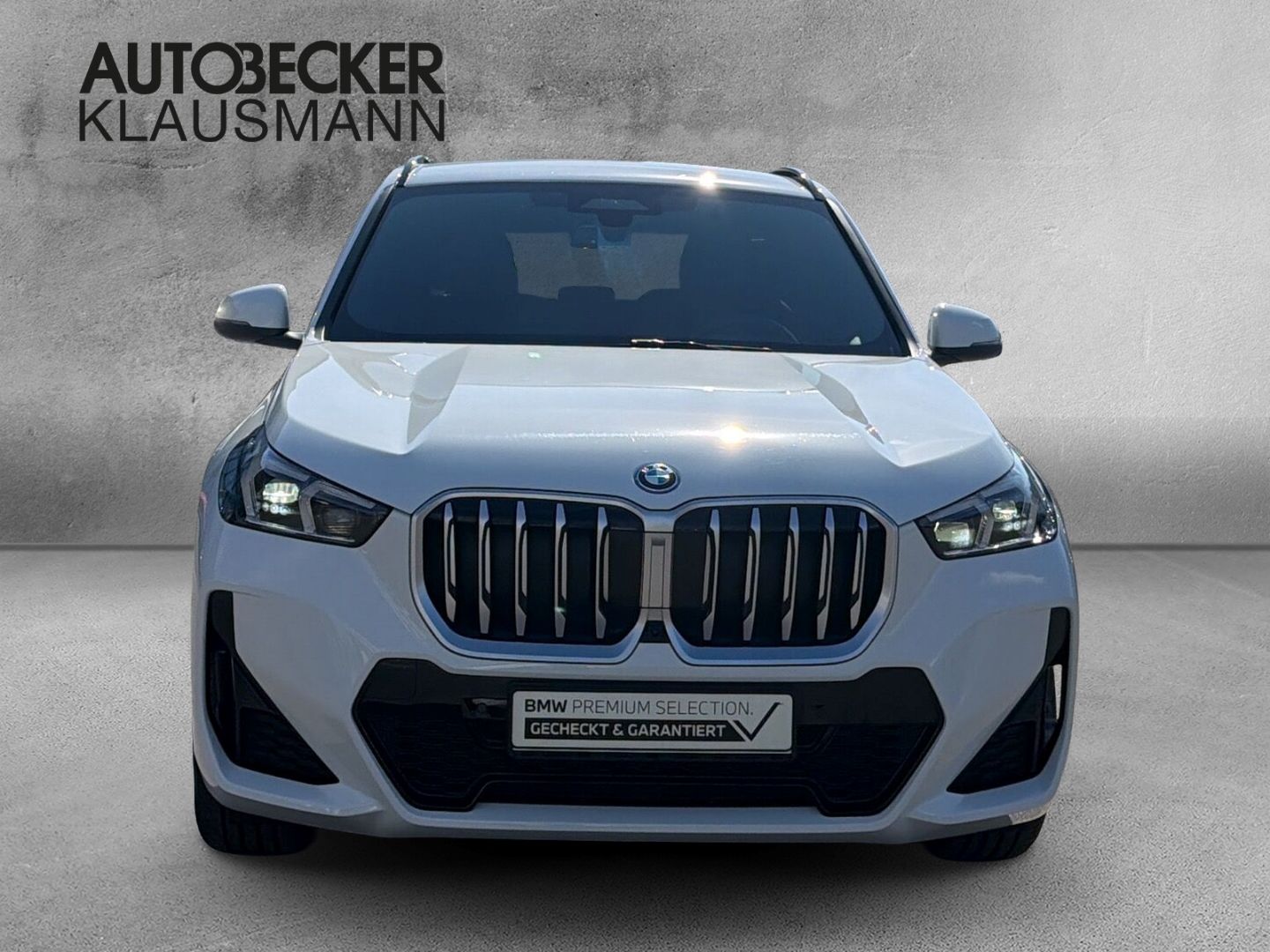 BMW X1 xDrive 30e M SPORT 18''LC PROF HuD ALARM AHK  foto 5