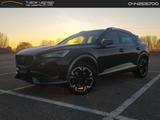 Cupra Formentor Tribe Edition 2.0 TDI #8281 - Cupra Formentor: Tribe Edition