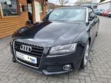 Audi A5 Cabriolet 3.0 TDI quattro S-Heft Kamera Leder - Audi A5: Cabrio, 3.0