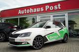 Skoda Fabia R5 Automatik ACC Kamera CarPlay Sitzheiz - Skoda Fabia mit Benzin-Antrieb: Weiß, Limousine