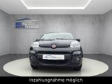 Fiat Panda Lounge/KLIMA/MFL/ALU/GEPFLEGT/TÜV NEU! - Fiat Panda: Lounge