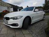 BMW 428i xDrive Cabrio, Steptr.8, Bi-Xenon, Navi. - BMW 428 von privat