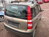 Fiat New Panda 1.2 8V  Dynamic *KLIMA*KEIN ROST* - Fiat New Panda mit Benzin-Antrieb: Limousine, Schaltgetriebe