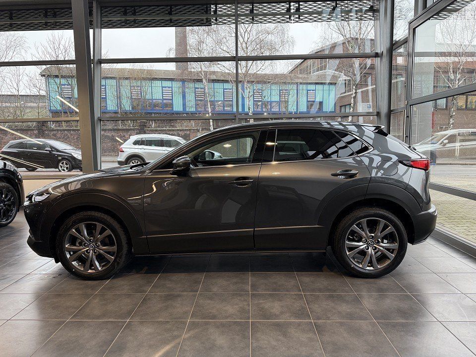 Mazda CX-30 - Bild 3