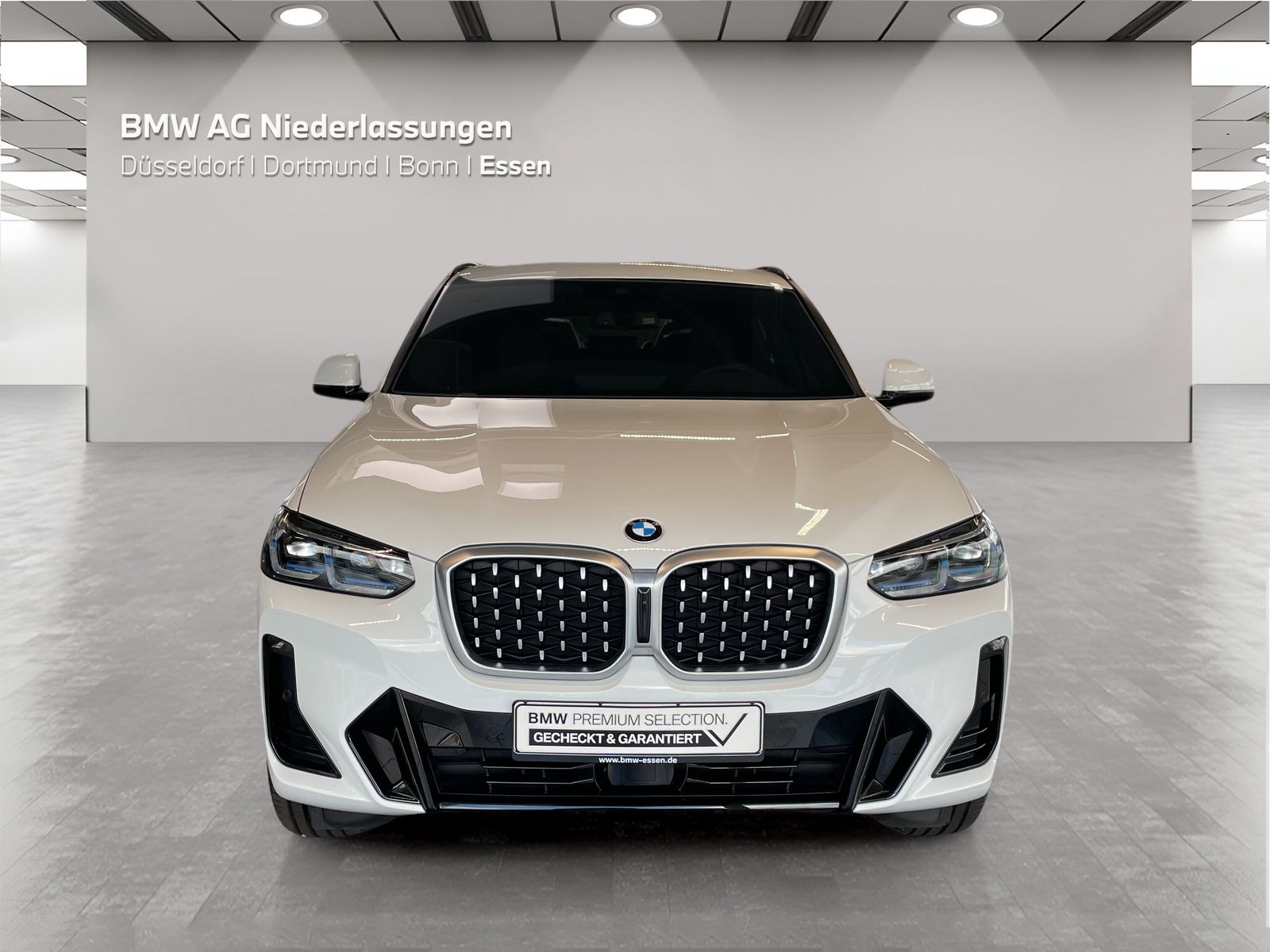 BMW X4 - Bild 8