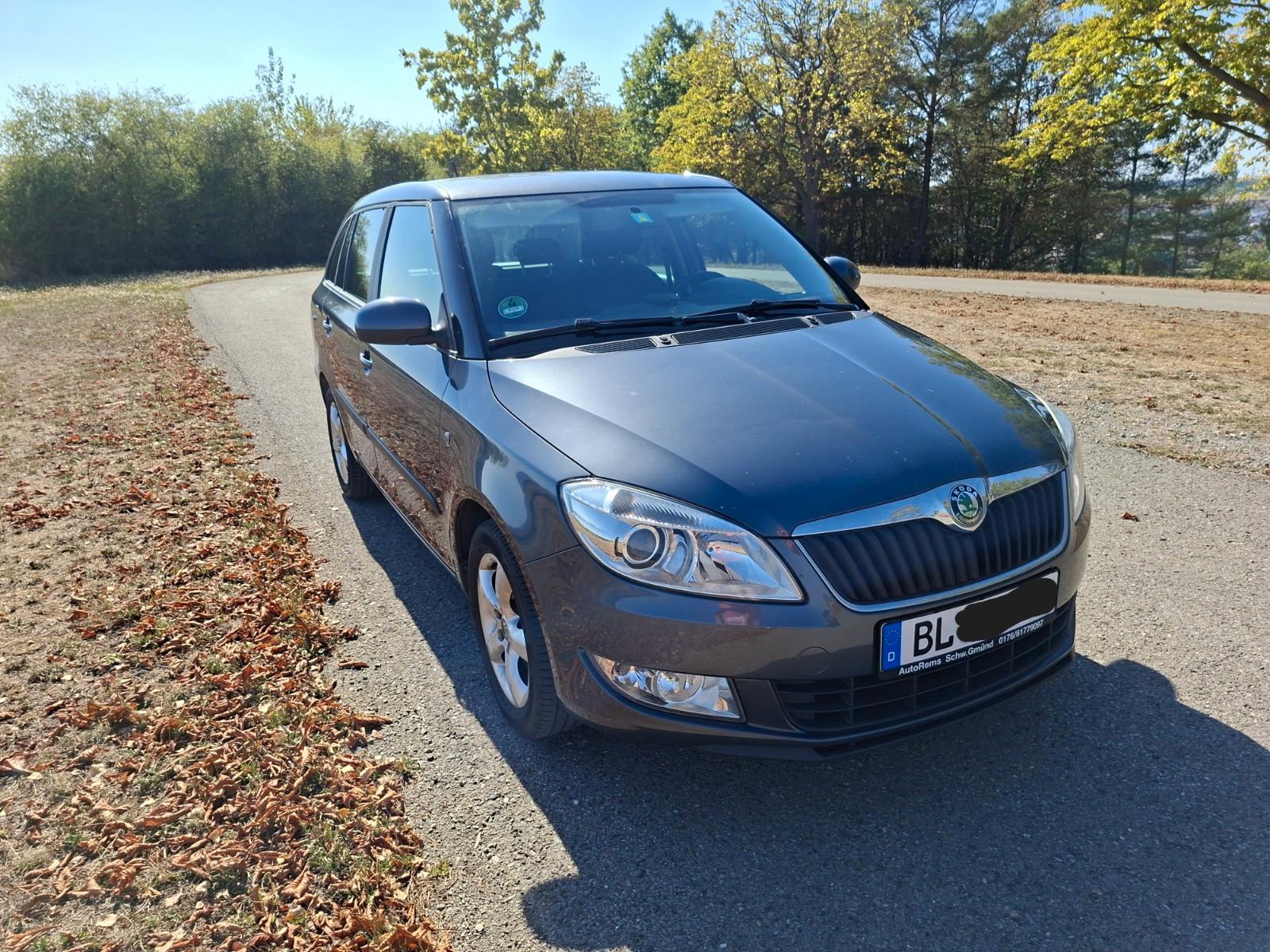 Skoda Fabia 2010 — interior