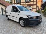 Volkswagen Caddy Kasten 1,6 TDI BMT Klima+PDC+Temp+Winterpa - Volkswagen Caddy: Van, 1.6