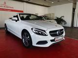 Mercedes-Benz Cabrio C 200 - Airscarf - Mercedes-Benz C 200: Cabrio