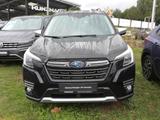Subaru Forester 2.0ie Mild-Hybrid Comfort Navi ACC - Subaru Forester mit Benzin-Antrieb: Automatik