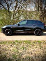 Maserati Levante 3.8 V8 Trofeo Auto 4WD Trofeo Facelift  - Maserati Levante aus 2022