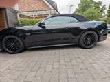 Ford Mustang Cabrio 8 Zylinder 5.0 L 10 Gang 45... - Ford Mustang in Krefeld