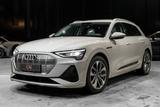 Audi e-tron 55 quattro S line* Bang&Olufsen* - Audi e-tron mit Elektro-Antrieb: Beige