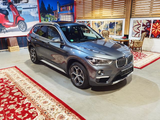 BMW X1 xDrive 18 d X-Line, Panorama, LED, PDC, Navi