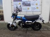 Honda Dax 125 Spring Deals - HONDA GEBRAUCHT DAX