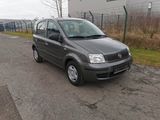 Fiat Panda 1.2 Dynamic - Fiat Panda: Privatanbieter