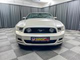 Ford Mustang Cabrio 2012 V6 3.7l, Leder, UNFALLFREI - Ford Mustang aus 2012: Cabrio