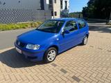 Volkswagen Polo 1.0 BASIS/TÜV bis  1/2027 - gebrauchte VW Polo aus dem Jahr 1999