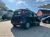 Fiat Panda Neues Modell 1.0 *5 Sitzer Klima PDC DAB* - Fiat Panda Vorführfahrzeuge