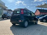 Fiat Panda Neues Modell 1.0 *5 Sitzer Klima PDC DAB* - Fiat Panda Tageszulassungen