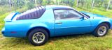 Pontiac Firebird Targa 5.0 V8 TBI - Pontiac: 8