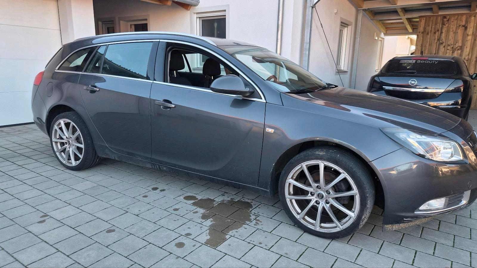 Opel Insignia 2009 — вигляд ззаду