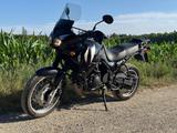 Triumph Tiger 955i - Offers matching your search criteria
