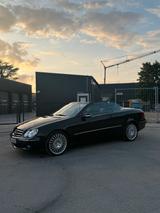 Mercedes-Benz CLK 320 CDI CABRIO AVANTGARDE - Mercedes-Benz CLK 320: Cdi Avantgarde
