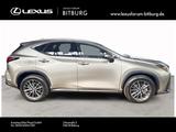 Lexus NX 450 h+ E-Four Business Line 15 Jahre Lexus Re - silberne Lexus NX 450h