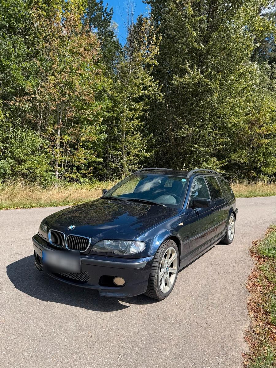 BMW 330 2005 — вигляд ззаду