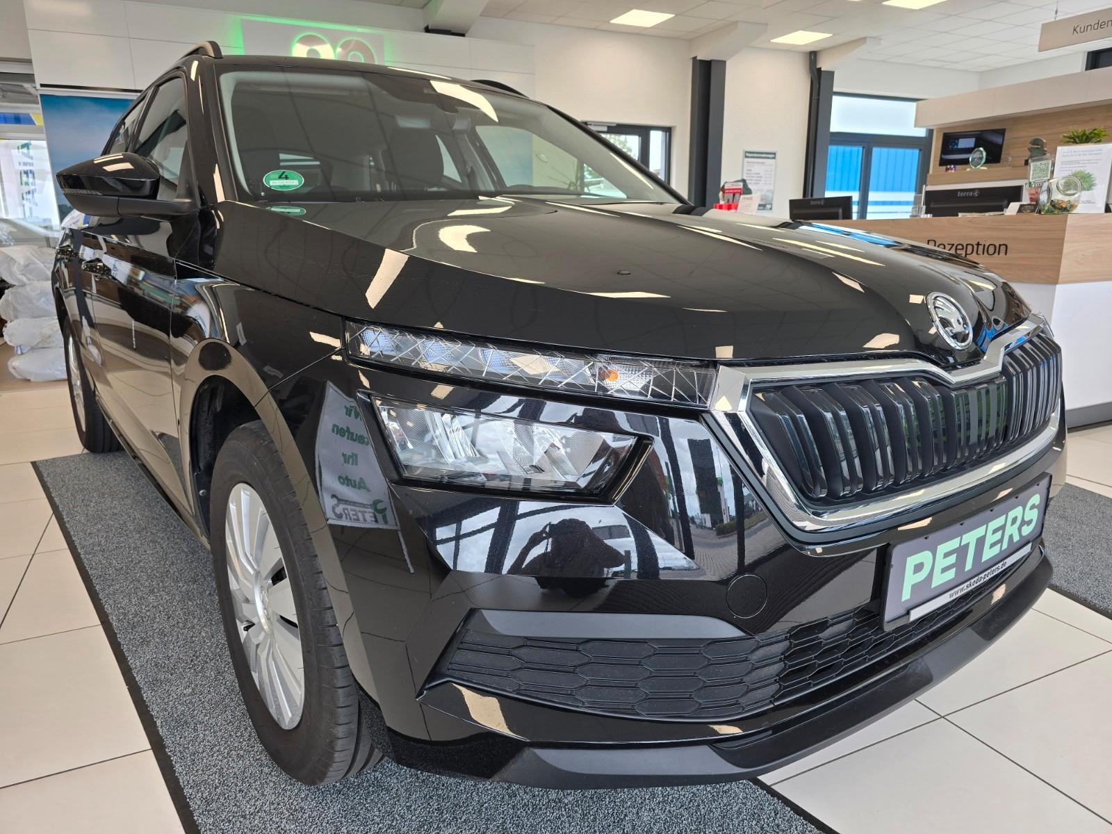 Skoda Kamiq Tour PDC Tempomat Fronradar-Assistent