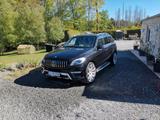 Mercedes-Benz ML 350 BlueTEC 4MATIC - AMG-Line - Mercedes-Benz ML 350: AMG