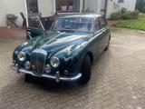 Jaguar Daimler V8 250 - Jaguar aus 1968