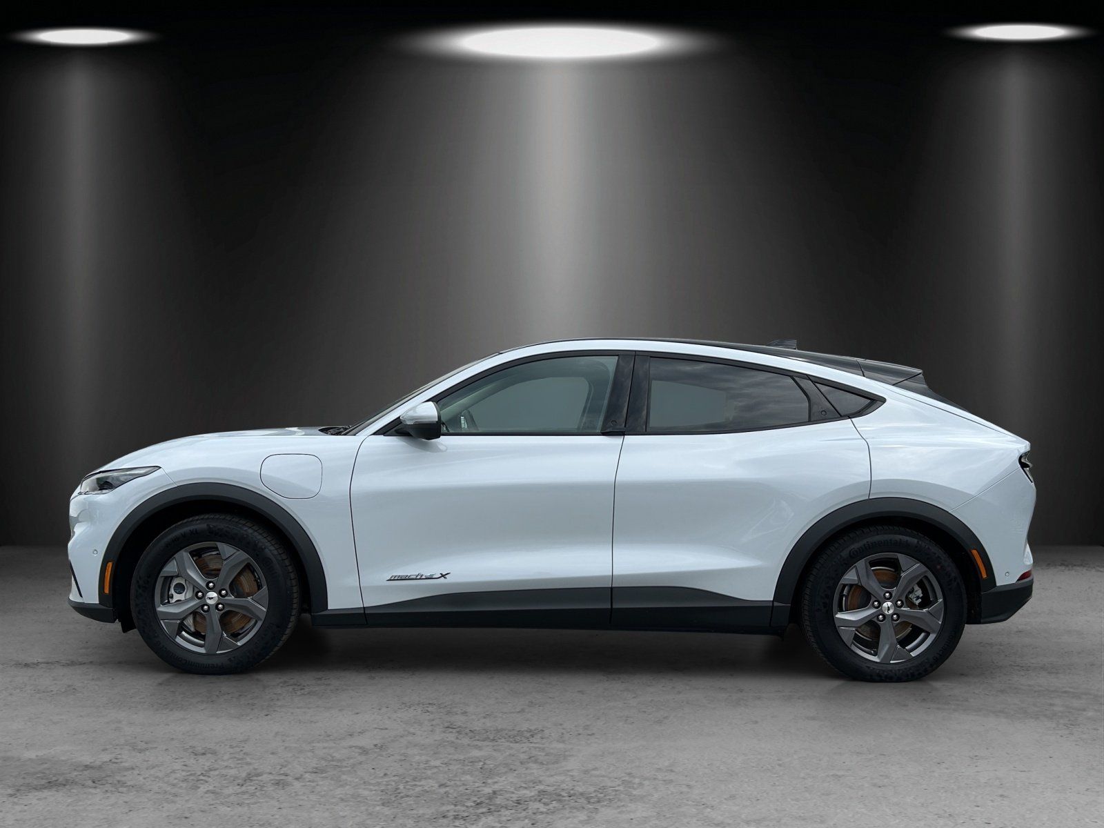 Fahrzeugabbildung Ford Mustang MACH-E Navi Leder Panodach