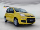 Fiat Panda 1.0 Mild Hybrid Pandina Icon - Fiat Panda Jahreswagen