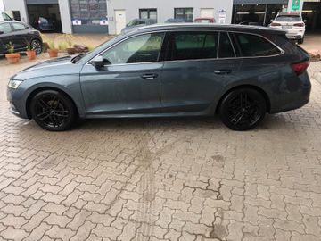 Skoda Octavia - 3