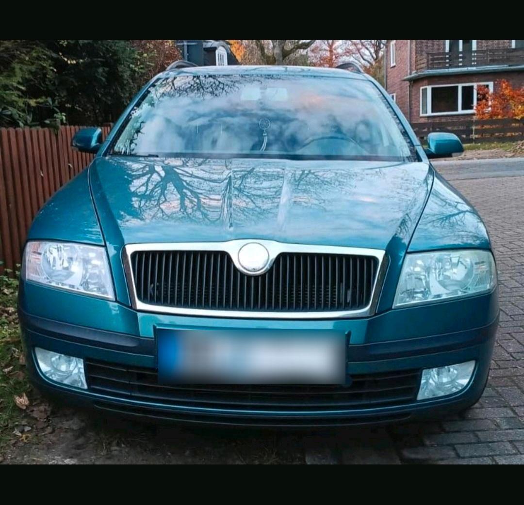Skoda Octavia 2006 — вигляд ззаду