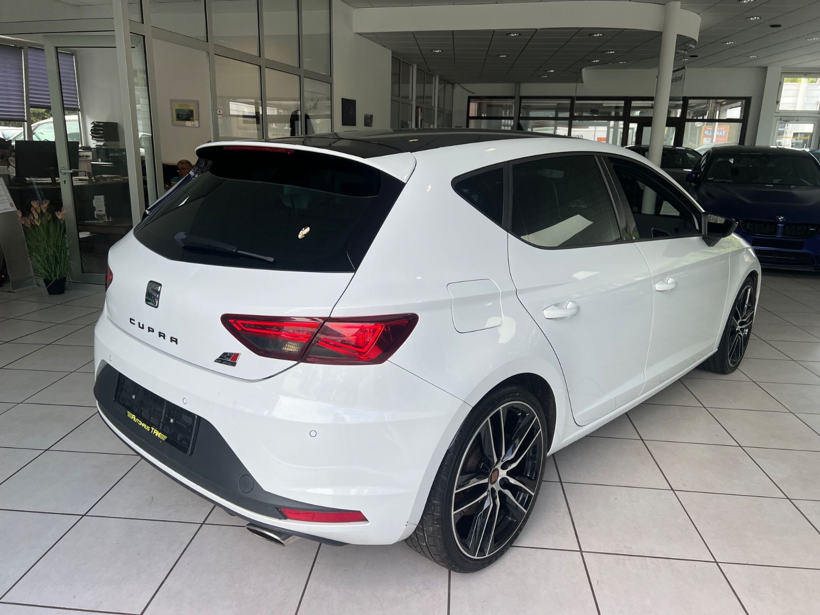 Fahrzeugabbildung SEAT Leon Cupra 290 DSG * SCHALENSITZE *