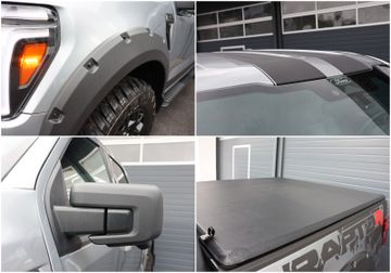 Ford F 150 - 10