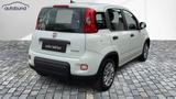Fiat Panda 1,0 Hybrid (MHEV) Base DAB ES PDC Radio - Fiat Panda in Köln