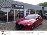 Mazda 3 HOMURA 150 Automatik 2024|Navi|Kamera - Mazda 3 in Herne
