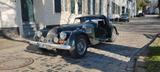 Morgan +8, H-Kennz., Cla.D.-.Gutachten 04/2025 - Morgan: 8