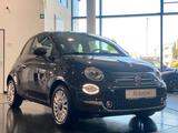 Fiat 500 1.0 Mild Hybrid Dolcevita Navi Pano DAB PDC - Fiat 500 aus 2023