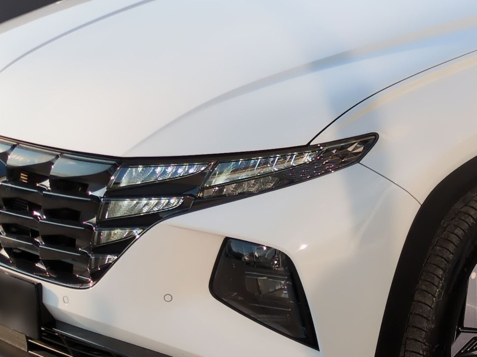 Fahrzeugabbildung Hyundai Tucson 1,6 CRDI Prime DCT 4WD Assip.+ ECS
