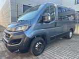 Fiat DUCATO 2.3 PANORAMA 9SITZER/NAV/RFK/TEM/KLIMAUT - Fiat Ducato: Sitze