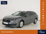 Skoda Superb Combi 2.0 TDI DSG Essence AHK/NAV/LED/ACC - Skoda Superb Jahreswagen: Kombi